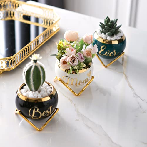 Perabella Mothers Day Mom Gifts, Mom Birthday Gifts From Daughter And Son | Gifts For Mom | Mom Gifts Unique, Best Gifts For Elderly Mom, For Mothers Gifts | Best Mom Ever Gifts Succulent Pots 3 Pcs #TOP4