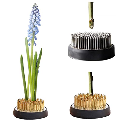 Homaisson Blumenfrosch Runde Wiederverwendbare 2 stücke Blume Frosch Blumenanordnung Stifthalter Cover