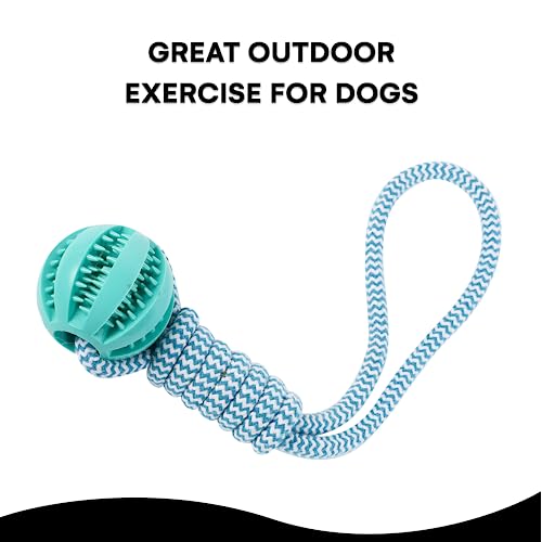 Black Rhino Tetherball Set for Dogs  Heavy Duty Outdoor Dog Toy  Interactive Dog Rope Ball for Playground  Cucciolini Doodles Black rhino tetherball set for dogs  heavy duty outdoor dog toy  interactive dog rope ball for playground   cucciolini doodles