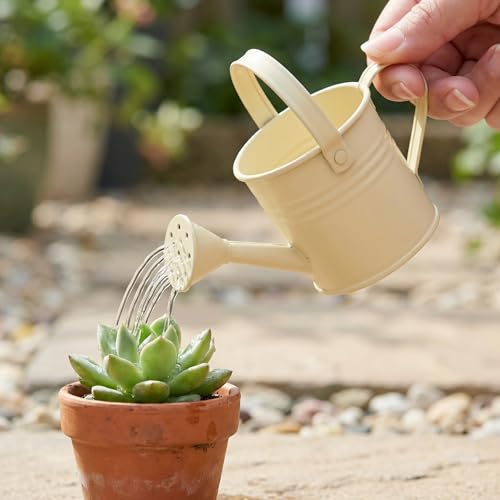 Image of DOITOOL Small Metal Watering can for Kids Pink Mini Flower Watering Pot with Long Spout Portable for Indoor and Outdoor Plant Care