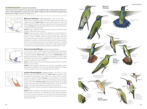 National Geographic Field Guide to the Birds of North America, 7th Edition - Image 5