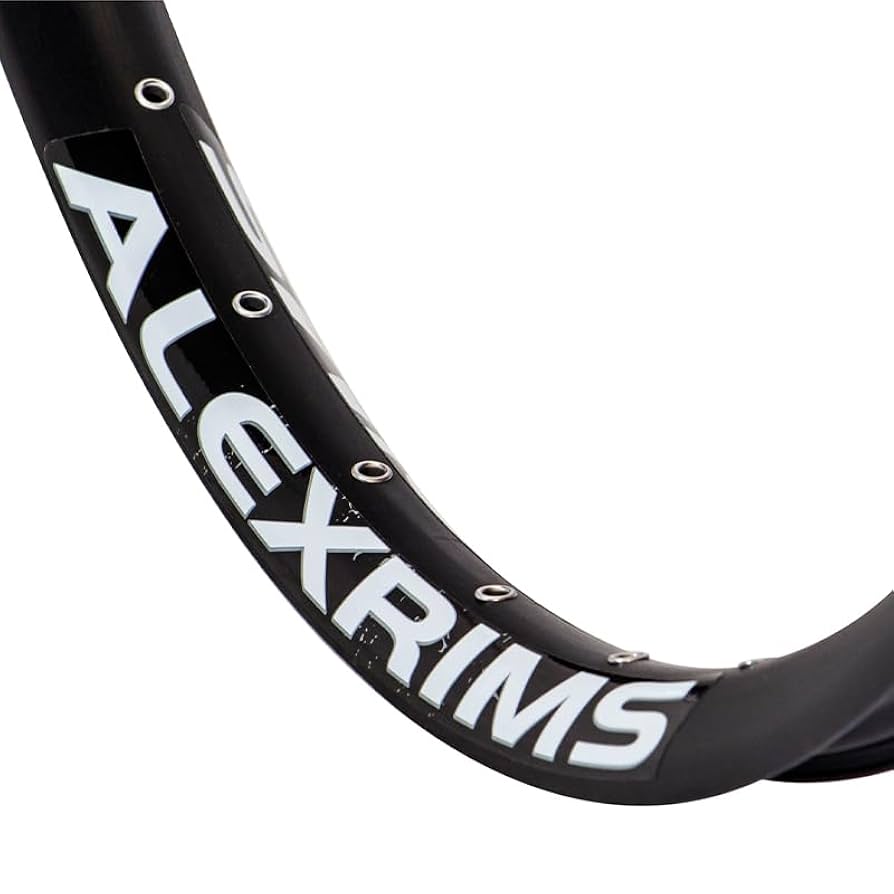 ALEXRIMS EXPERT DISC SL DISC 622×17 前後