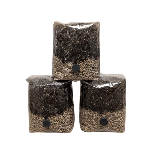 Fat Fungi Dung Lover Mushroom | at Home Grow Kit | All in One | Manure HPoo Substrate + Organic Grain | No Spores or Liquid Culture | Made in The UK by Experts (1)