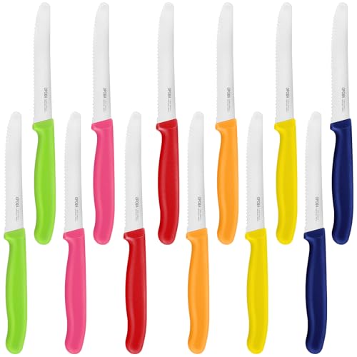 OPOLIA Bunt Tafelmesser 12 Stück,Wellenschliff Brötchenmesser, Frühstücksmesser,Tomatenmesser,Edelstahl Scharfe Klinge, Spülmaschinenfest,Messerset für den Täglichen Gebrauch - Mehrfarbig.
