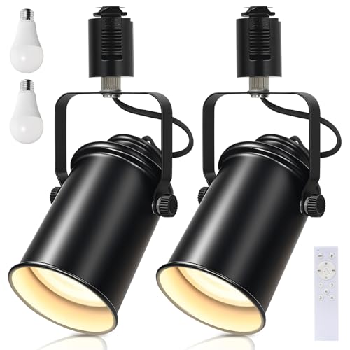 Aiwode レールライト ダクトレール用スポットライト E26口金 角度調節可能 調光調色 リモコン対応 ロック機構により脱落を防止 簡単なインストール 高級 和風 目に優しい 節電 省スペース設計 寝室 高級レストラン 書斎 廊下 植物の照明に適しています 黒 2個入り