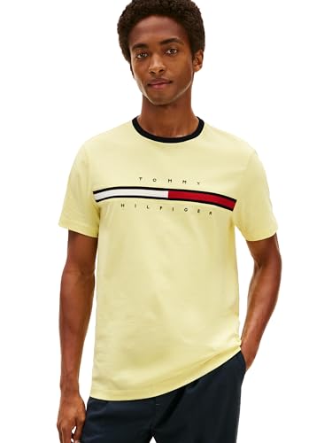 T-shirt graphique rayé signature Tommy Hilfiger homme manches courtes bleu marine