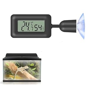 爬虫類 温度管理セット 81ISQZ6dnIL._UF894,1000_QL80_.jpg