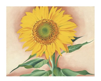 Tableau modern art A Sunflower from Maggie 1937 peinture à l'huile sur toile haut de gamme