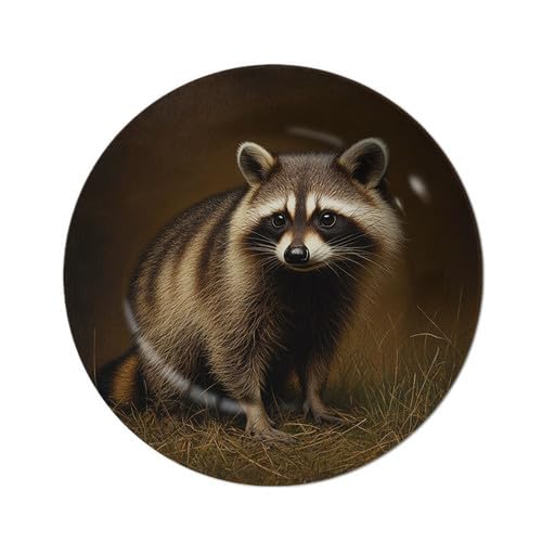 Image of Vdenvileye 26.5cm Melamine Decorative Plate (Includes Metal Hanging Hook) Raccoon Motif Wall Art Decor Home Accent Rustic-Style Wall-Mounted Display Tray