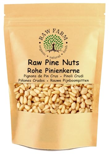 500 g Raw Pine Nuts – Premium Whole Nuts, Unsalted & Unroasted | All-Natural Keto & Paleo Snack | Perfect for Pesto, Salads & Baking, Gluten & Soya Free