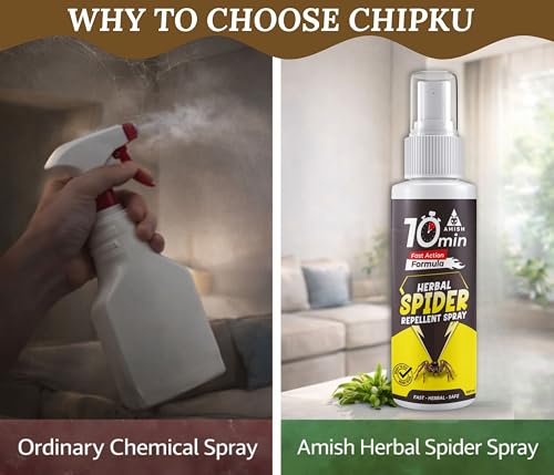 Image of Amish Herbal Spider Spray 100 ml|10 Minutes Formula |Removes Entire Spider Colony|Powerful 100% Organic No Chemical Spider Repellent Spray for Home Office & Garden Long Lasting Protection