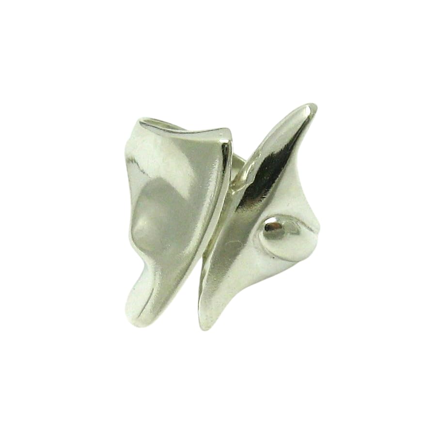 Bague en argent massif 925 Empress R001488 : ne ternit pas, ne verdit pas la peau, bague durable