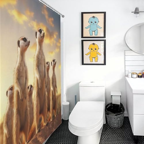 Rideau de douche imperméable Suricate en polyester 168x183cm avec crochets