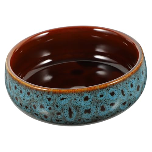 Pot de fleur hydroponique céramique jonquille et lotus d'eau