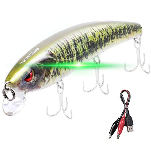 TRUSCEND Fishing Lures Fishing Light Attractant 4.9" Rechargeable LED Minnow Long Casting Slow