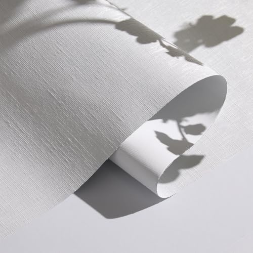 Persilux 100% Blackout Roller Shades, White, 72H x 27W, Thermal Insulatedprivacy Shades