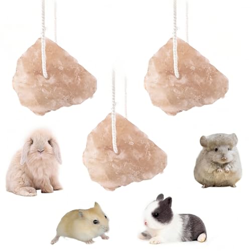 BCHMN 3 Pièces Blocs de sel avec Ficelle attachée, Riches en minéraux, adaptés aux Animaux de Compagnie tels Que Les Lapins, Les cobayes et Les écureuils, favorisant la santé Dentaire et l'activité