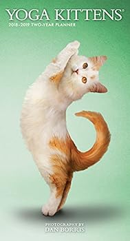 Yoga Kittens 2018 3.5 x 6.5 Inch Two Year Monthly Pocket Planner, Animals Humor Kitten