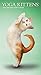 Yoga Kittens 2018 3.5 x 6.5 Inch Two Year Monthly Pocket Planner, Animals Humor Kitten