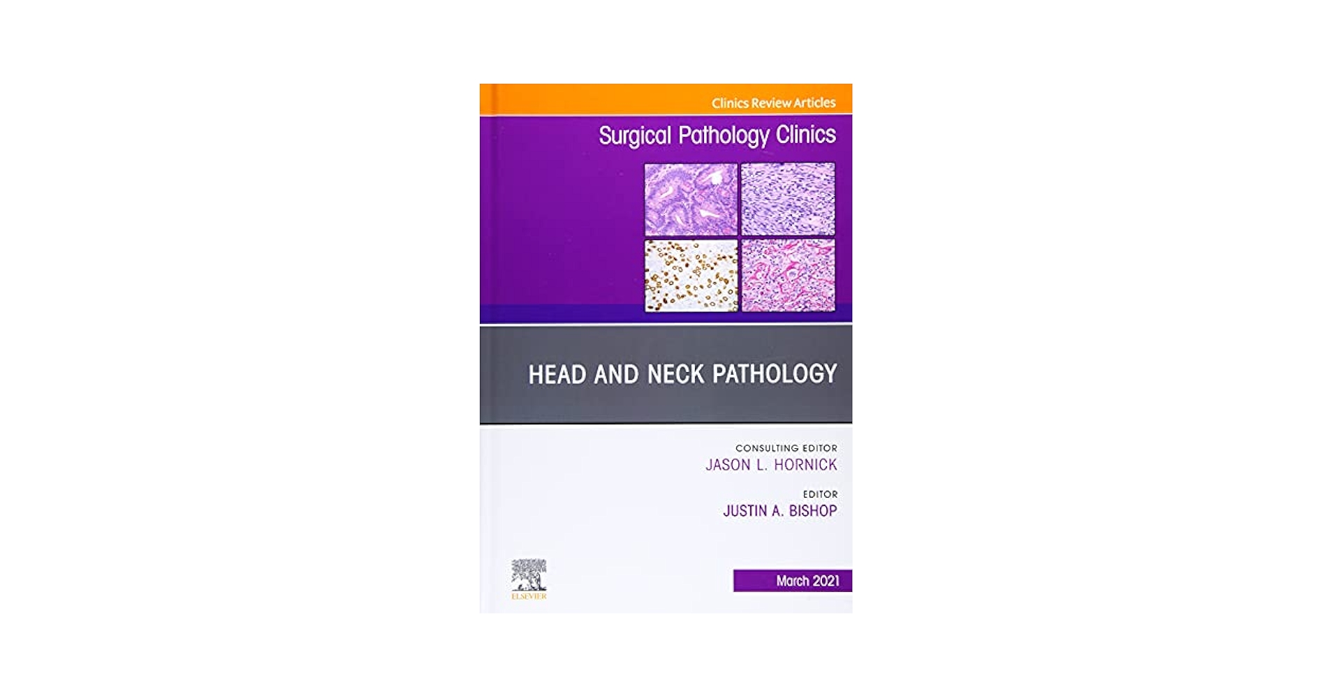 Head and Neck Pathology, An Issue of Surgical Pathology