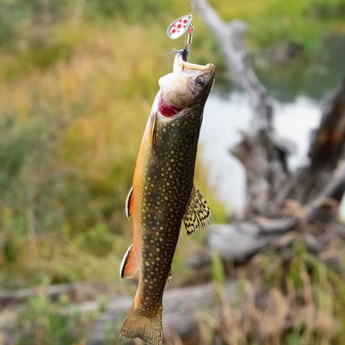 Exaurafelis 10Pcs Trout Fishing Lures Kit Spinnerbait Rooster Tail Spoon Lures For Bass Salmon Spinner Baits With Tackle Box thumb #5