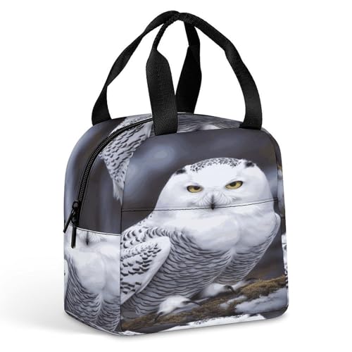 Arctic Owl �����`�o�b�O �ė��p�\ �����`�{�b�N�X �ۉ� �ۉ� �ٓ��� �����p �j�� �d���p ���x��