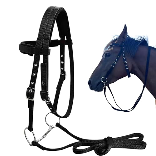 Generisch Soporte ajustable para caballos, banda para la cabeza de la brida de caballo, cuerda ajustable con 3 hebillas, correa con pestillo para reducir la fricción para los entusiastas de la