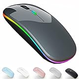 Wireless Bluetooth Mouse for Laptop MacBook pro Mac MacBook Air iPad pro iPad Air iMac Chromebook Computer Win7/8/10 PC HP DELL (Bluetooth 5.1+2.4G Mouse LED Gray)