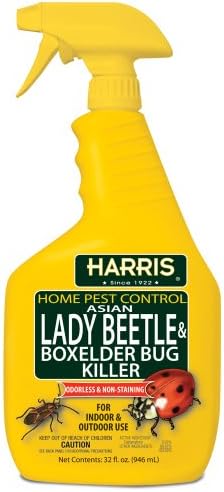 Harris Asian Lady Beetle and Box Elder Killer, Pest Control Liquid Spray with Odorless and Non-Staining Extended Residual Kill Formula (32oz)
