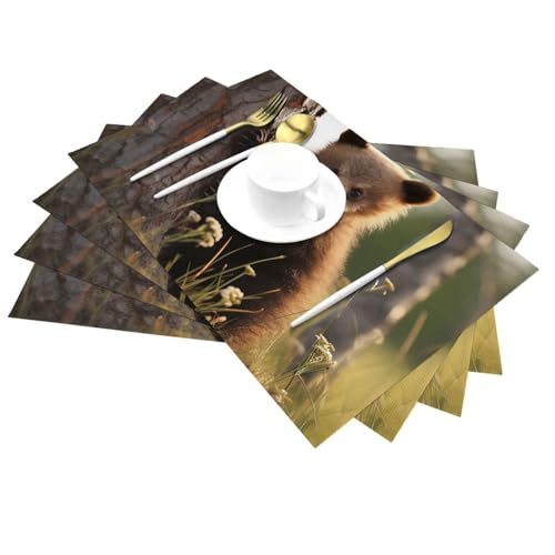 Sets de table lavables pour éviter les taches de chaleur en vinyle antidérapant lot de 6
