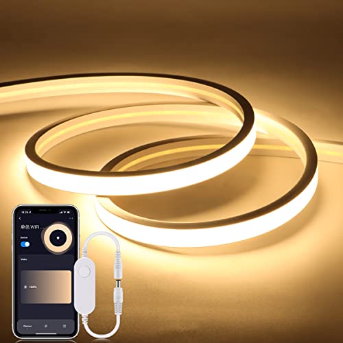 Taśma świetlna LED, wodoodporna elastyczna lampa neonowa 24 V z 11-przyciskowym pilotem ściemniacza, idealna do domu i na zewnątrz, dekoracja DIY (ciepła biel, 3 m)