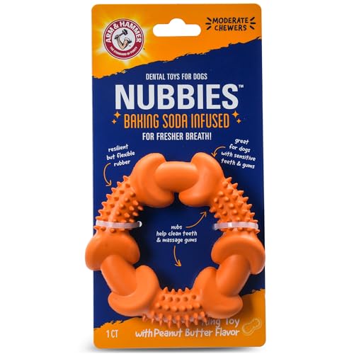 Arm & Hammer Nubbies Dental Chew Toy Rubber Ring Peanut Butter
