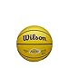 WILSON NBA Player Icon Mini Basketball - Lebron James, Mini Size
