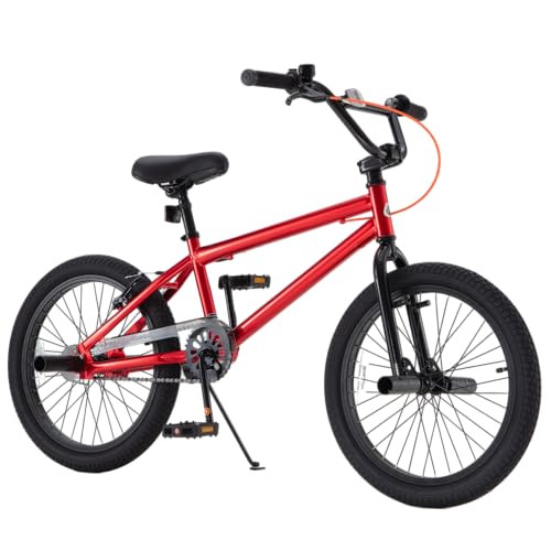 RoyalBaby 20 Inch BMX Freestyle Bike