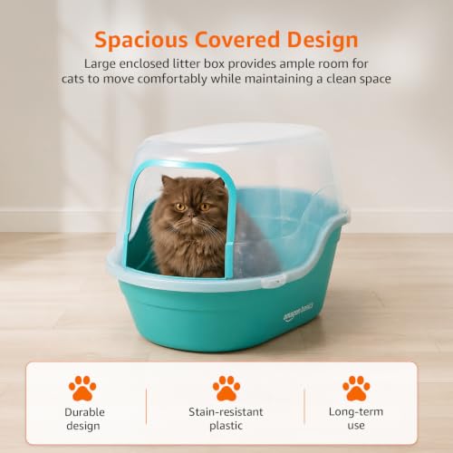 Image of Amazon Basics Semi Enclosed Cat Litter Box | Large Litter Tray | Easy Clean Cat Washroom for Indoor Cats | Green & Transparent | 42 X 49 X 63 cm | Suitable for Kittens & Adult Cats