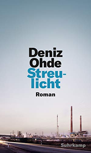Streulicht: Roman