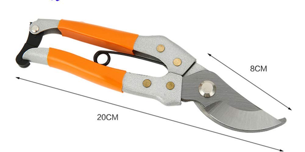 Coltello da potatura, Attrezzi da Giardino con cesoie da potatura Forbici affilate Forti Cesoie per Rami Bonsai Cesoie da potatura affilate in Acciaio