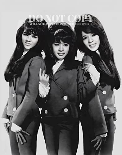 Foto de The Ronettes 8x10: retrato de Ronnie Spector de 1966