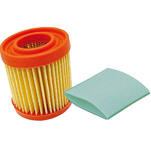 Filtro de aire para Aspera Tecumseh BVL de 173/198 BH BN HB HBLL Cortacésped