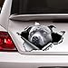 Decal Stickers for Cars Funny Window Decals Blue Pitbull Car Decal Car Decoration Car Sticker Blue Pitbull Sticker Self Adhesive Window Sticker for Van Truck Vehicle