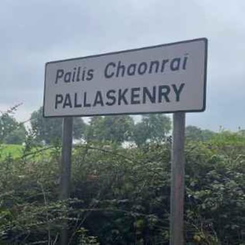 Did you meet anyone? Kildimo/Pallaskenry/Kilcornan