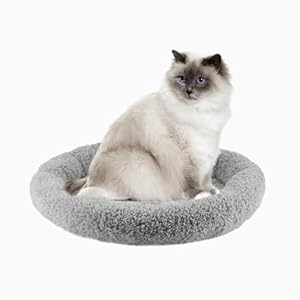 Round Cat Bed Washable Cat Donut Bed with Non-Slip Bottom Comfortable Soft Pet Bed for Indoor Cats/Gray （Diameter: 15.75″）