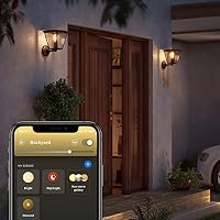 Philips Hue White Inara Außen-Wandleuchte, 550 lm, Schwarz – Ansicht 6