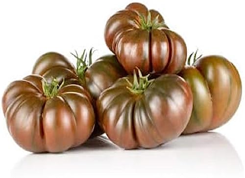 TOMATE COTTELEE NOIRE BIO - La barquette de 300 g