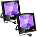 80W LED Schwarzlicht IP66 Licht Eleganted 2-Pack Beleuchtung LED Strahler Flutlicht für Partys, Ultraviolette Schwarzlichtlampe für Fluoreszierende Körperfarbe, DJ-Disco, Neonglühen