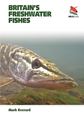 Britain's Freshwater Fishes (WILDGuides of Britain & Europe)