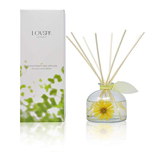 LOVSPA Lemon Mint Leaf Scented Sticks Reed Diffuser Oil Gift Set – All