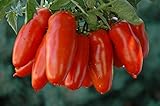 Easy to sow and fast growing seeds
