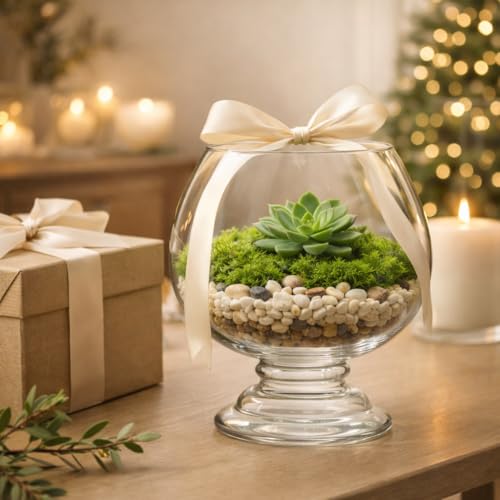 Image of Glass Fish Bowl /Terrarium Wine Cup Decorative Glass Aquarium for Home Decor Elegant Centerpiece for Living Room, Office & Balcony Ideal for Displaying Plants, Pebbles & Fish (10 Inch)