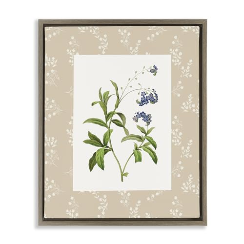 Stupell Industries 'Botanical Plate Design'| Floating Frame Canvas Art